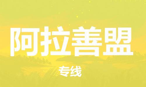 深圳到阿拉善盟物流專線-深圳到阿拉善盟貨運(yùn)-優(yōu)勢(shì)線路- 深圳到阿拉善盟物流專線-深圳到阿拉善盟貨運(yùn)-優(yōu)勢(shì)線路-