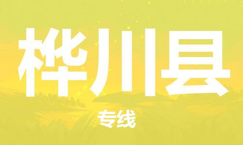 深圳到樺川縣電動(dòng)車托運(yùn)-深圳到樺川縣電動(dòng)車專線-選擇物流不拆電池