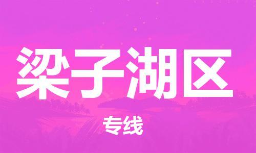 深圳到梁子湖區(qū)電動(dòng)車托運(yùn)-深圳到梁子湖區(qū)電動(dòng)車專線-選擇物流不拆電池