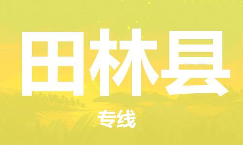 常平鎮(zhèn)到田林縣物流專線-常平鎮(zhèn)至田林縣貨運頂尖的運輸解決方案